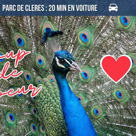 L'aurore Berbere, Hypercentre De Rouen, Au Calme Daire