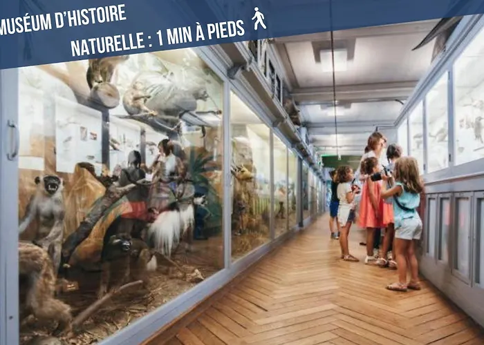 Διαμέρισμα L'aurore Berbere, Hypercentre De Rouen, Au Calme Ρουέν