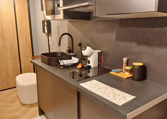 L'aurore Berbere, Hypercentre De Rouen, Au Calme * Ρουέν