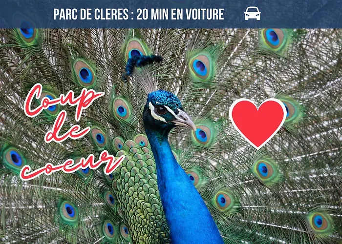 L'aurore Berbere, Hypercentre De Rouen, Au Calme Διαμέρισμα